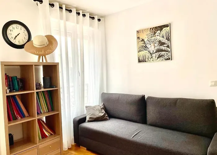 Un Grand Deux Pieces Διαμέρισμα Charenton-le-Pont